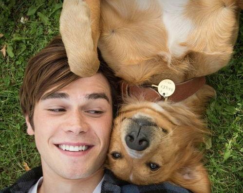 走近科学小狗长大娱乐吃瓜酱