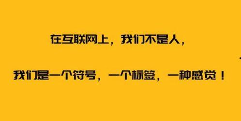娱乐吃瓜自我介绍文案,带你领略娱乐圈风云变幻