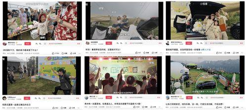 娱乐吃瓜视频剪映,揭秘娱乐圈幕后吃瓜大揭秘！